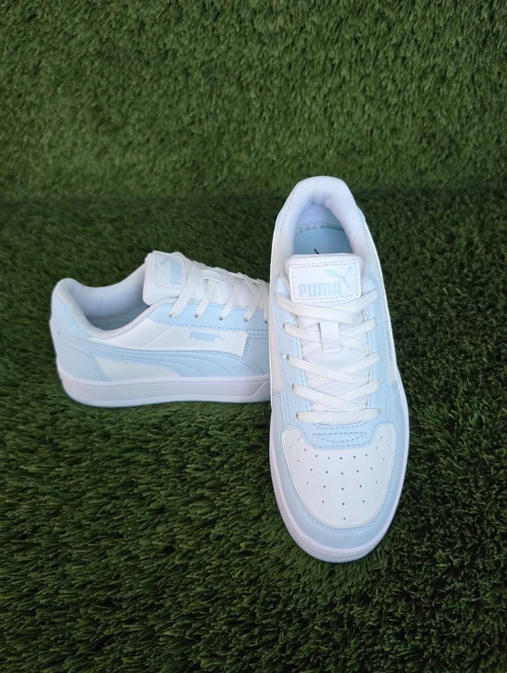 Puma caven low